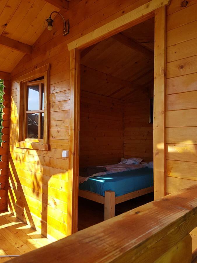 Retezat Retreat - Wood Cabin Clopotiva Zewnętrze zdjęcie